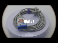 PH M1668A ইসিজি ট্রাঙ্ক কেবল ৯৮৯৮০৩১৪৫0৬১ ১২-পিন সংযোগকারী সহ ইসিজি ট্রাঙ্ক কেবল