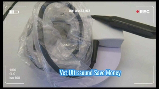 Mindray 75L50EAV Vet আল্ট্রাসাউন্ড প্রোব